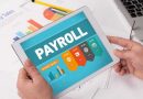 5 Best Payroll Software In 2023 – Reviewed & Tested
